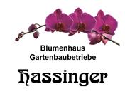 Logo von Blumenhaus Hassinger
