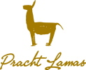 Logo von Prachtlamas