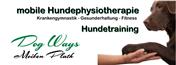 Hundephysiotherapie Hundetraining