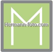 hermann-foto.com