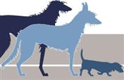 Logo von Hundetraining Spurwechsel