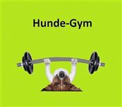 www.Hunde-Gym.de