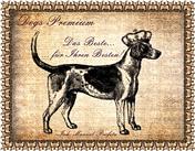 Logo von Hundeshop Dogs-Premium