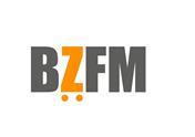 Logo BZFM