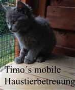Logo von Timos Haustierbetreuung
