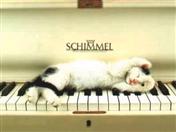 Klavier spielend lernen!