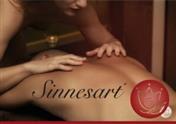 Logo Sinnesart