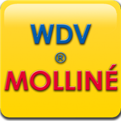 WDV/Molliné - Messtechnik die zählt