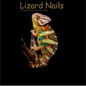 Logo von Lizard Nails