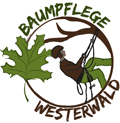 Logo von Baumpflege Westerwald, Baumfällung, Baumsanierung, Baumdienst, Seilklettertechnik, Rodung,   